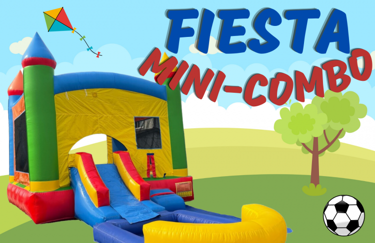 Fiesta Mini-Combo *Wet or dry use